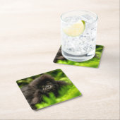 最も可愛い赤ん坊の動物 |乳児マウンテンゴリラ スクエアペーパーコースター (インサイチュ)