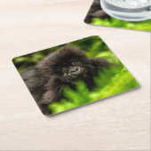 最も可愛い赤ん坊の動物 |乳児マウンテンゴリラ スクエアペーパーコースター (アングル)