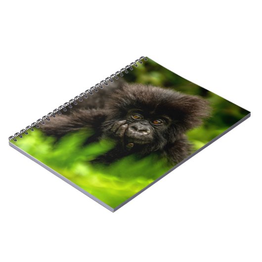 最も可愛い赤ん坊の動物 |乳児マウンテンゴリラ ノートブック (左側)