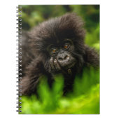 最も可愛い赤ん坊の動物 |乳児マウンテンゴリラ ノートブック (正面)