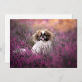 最も可愛い赤ん坊の動物 |北京の子犬 サンキューカード (正面/裏面)