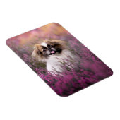 最も可愛い赤ん坊の動物 |北京の子犬 マグネット (右側)