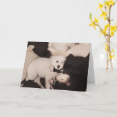 最も可愛い赤ん坊の動物 |子犬の山 カード (黄色い花)