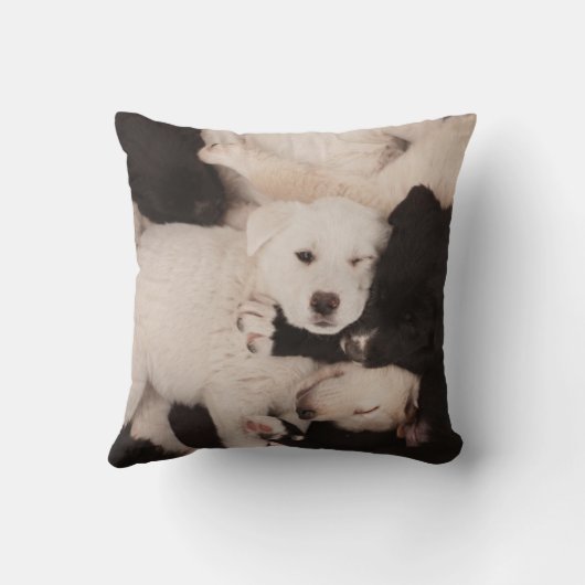 最も可愛い赤ん坊の動物 |子犬の山 クッション (裏面)