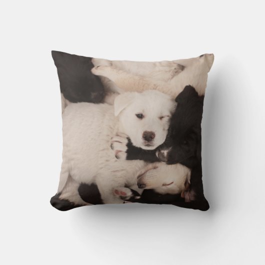 最も可愛い赤ん坊の動物 |子犬の山 クッション (正面)