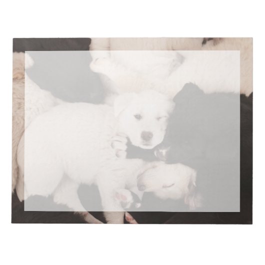 最も可愛い赤ん坊の動物 |子犬の山 ノートパッド (正面)