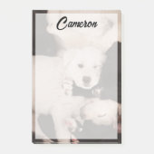 最も可愛い赤ん坊の動物 |子犬の山 ポストイット (正面)