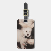 最も可愛い赤ん坊の動物 |子犬の山 ラゲッジタグ (正面縦)