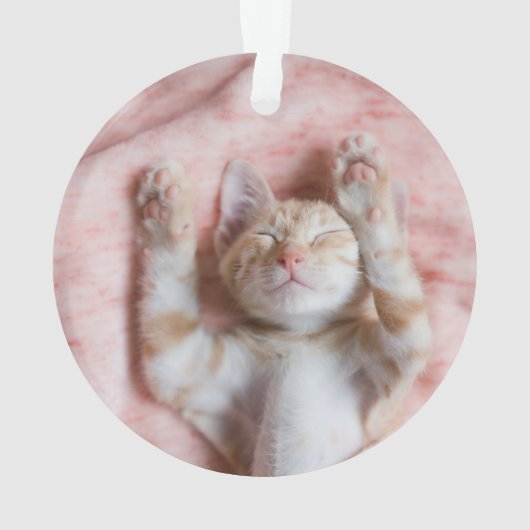 最も可愛い赤ん坊の動物 |小さなオレンジのストライプの子猫 オーナメント (裏面)