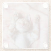 最も可愛い赤ん坊の動物 |小さなオレンジのストライプの子猫 ガラスコースター (裏面)