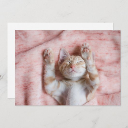 最も可愛い赤ん坊の動物 |小さなオレンジのストライプの子猫 サンキューカード (正面/裏面)