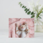 最も可愛い赤ん坊の動物 |小さなオレンジのストライプの子猫 ポストカード (スタンド正面)