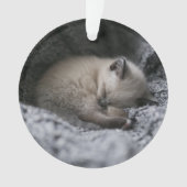 最も可愛い赤ん坊の動物 |小さな子猫が寝ている オーナメント (正面)