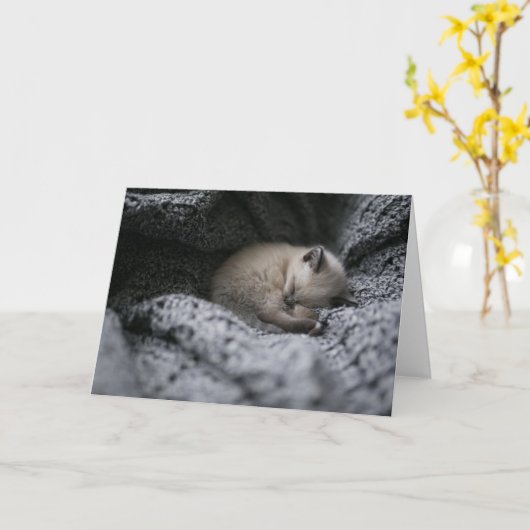 最も可愛い赤ん坊の動物 |小さな子猫が寝ている カード (黄色い花)