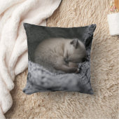 最も可愛い赤ん坊の動物 |小さな子猫が寝ている クッション (ブランケット)