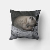 最も可愛い赤ん坊の動物 |小さな子猫が寝ている クッション (裏面)