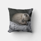 最も可愛い赤ん坊の動物 |小さな子猫が寝ている クッション (正面)