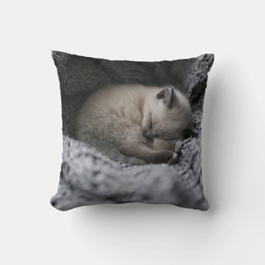 最も可愛い赤ん坊の動物 |小さな子猫が寝ている クッション (正面)