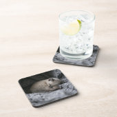 最も可愛い赤ん坊の動物 |小さな子猫が寝ている コースター (右側)