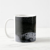 最も可愛い赤ん坊の動物 |小さな子猫が寝ている コーヒーマグカップ (左)