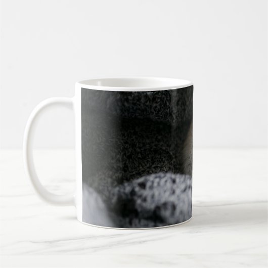 最も可愛い赤ん坊の動物 |小さな子猫が寝ている コーヒーマグカップ (左)