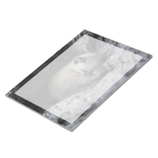 最も可愛い赤ん坊の動物 |小さな子猫が寝ている ノートパッド (アングル)