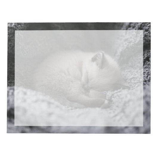最も可愛い赤ん坊の動物 |小さな子猫が寝ている ノートパッド (正面)