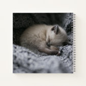 最も可愛い赤ん坊の動物 |小さな子猫が寝ている ノートブック (裏面)