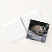 最も可愛い赤ん坊の動物 |小さな子猫が寝ている ノートブック (内部)