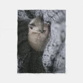 最も可愛い赤ん坊の動物 |小さな子猫が寝ている フリースブランケット (正面)