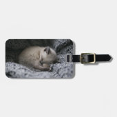 最も可愛い赤ん坊の動物 |小さな子猫が寝ている ラゲッジタグ (正面横)