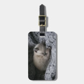 最も可愛い赤ん坊の動物 |小さな子猫が寝ている ラゲッジタグ (正面縦)