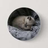最も可愛い赤ん坊の動物 |小さな子猫が寝ている 缶バッジ (正面)