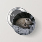 最も可愛い赤ん坊の動物 |小さな子猫が寝ている 缶バッジ (正面&裏面)