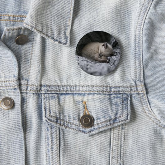 最も可愛い赤ん坊の動物 |小さな子猫が寝ている 缶バッジ (インサイチュ)