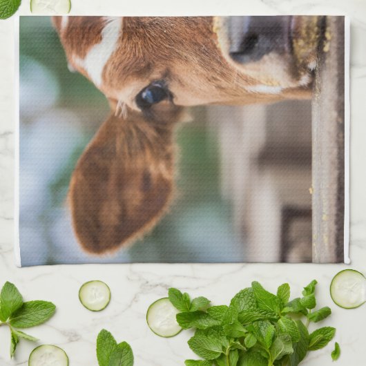 最も可愛い赤ん坊の動物 |小さな牛のふくらはぎ キッチンタオル (折り畳み)