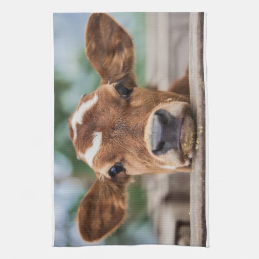 最も可愛い赤ん坊の動物 |小さな牛のふくらはぎ キッチンタオル (縦)