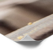 最も可愛い赤ん坊の動物 |小さな牛のふくらはぎ ポスター (角)