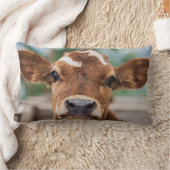 最も可愛い赤ん坊の動物 |小さな牛のふくらはぎ ランバークッション (ブランケット)