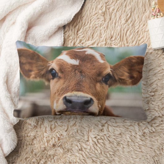 最も可愛い赤ん坊の動物 |小さな牛のふくらはぎ ランバークッション (ブランケット)
