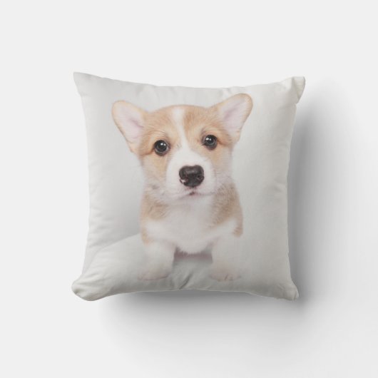 最も可愛い赤ん坊の動物 |小コルギ クッション (正面)