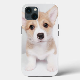 最も可愛い赤ん坊の動物 小コルギ iPhone 13ケース