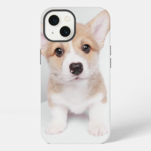 最も可愛い赤ん坊の動物 |小コルギ iPhoneケース (裏面)