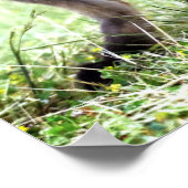 最も可愛い赤ん坊の動物 |愛らしいキツネキット&ママ ポスター (角)