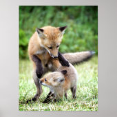 最も可愛い赤ん坊の動物 |愛らしいキツネキット&ママ ポスター (正面)
