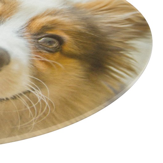 最も可愛い赤ん坊の動物 |愛国心のあるコーギの子犬 カッティングボード (角)