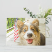 最も可愛い赤ん坊の動物 |愛国心のあるコーギの子犬 サンキューカード (スタンド正面)