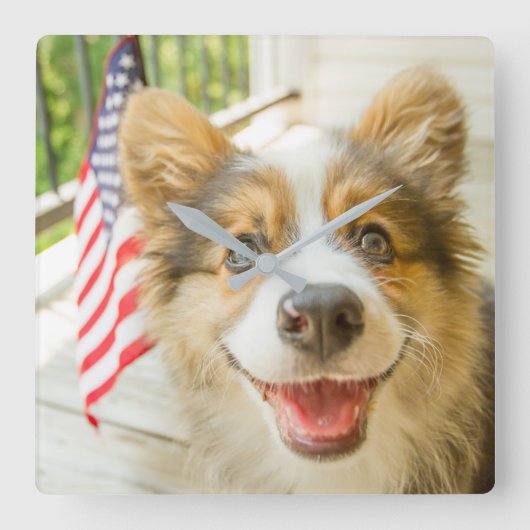 最も可愛い赤ん坊の動物 |愛国心のあるコーギの子犬 スクエア壁時計 (正面)