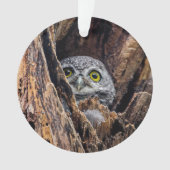 最も可愛い赤ん坊の動物 |斑点のあるオウレット オーナメント (正面)