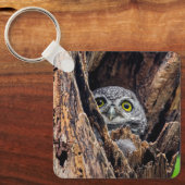 最も可愛い赤ん坊の動物 |斑点のあるオウレット キーホルダー (正面)